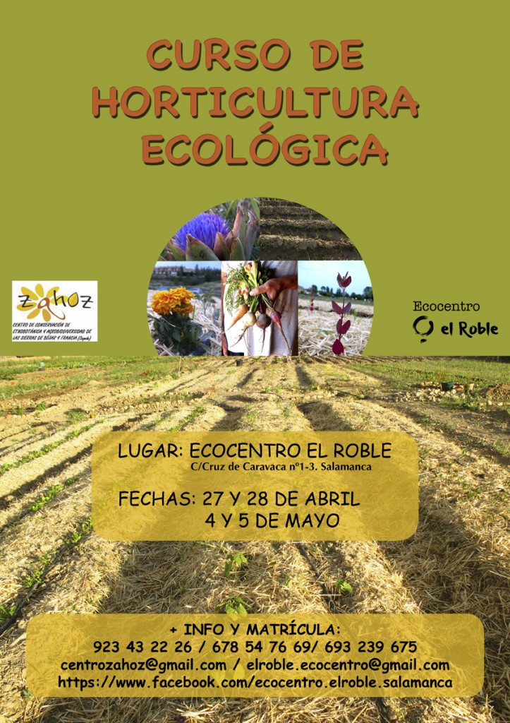 HORTICULTURA ECOLOGICA SALAMANCA (2)